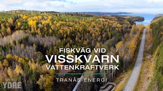 Fiskväg vid Visskvarn vattenkraftverk Ydre [upl. by Kerrie]