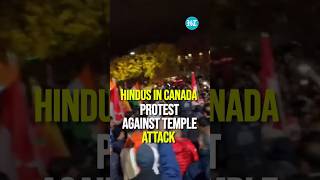 Canadian Hindus Protest After Khalistanis Attack Hindu Temple In Brampton [upl. by Adnawak]