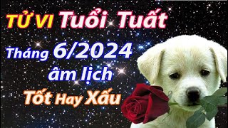 Tử vi tuổi Tuất Tháng 62024 âm lịch tốt hay xấu [upl. by Charley647]