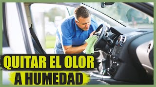 Cómo quitar el olor a humedad del coche [upl. by Lotz348]