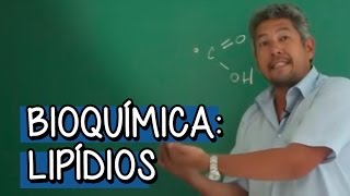 LIPÍDIOS O QUE SÃO FUNÇÃO E CLASSIFICAÇÃO  BIOQUÍMICA [upl. by Joell775]