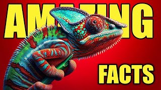 Chameleon as Pet  Chameleon Beginners Guide [upl. by Alaik]