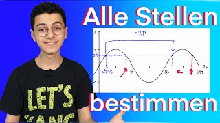 Sinusfunktion Alle Winkel und x bestimmen Einfach erklärt [upl. by Yatnoj]