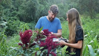 Harvesting Amaranth Seeds  Simple Seed Saving from a Wonderful Crop [upl. by Basil]