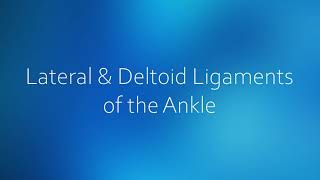 Outer amp Inner Sprained Ankle Lateral amp Deltoid Ligaments Strength Exercises  Dr Ben E Benjamin [upl. by Nnayr788]