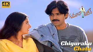 Chiguraku Chatu 4K videosong  Gudumba Shankar  Pawan Kalyan  Meera Jasmine  Mani Sharma [upl. by Tarazi]