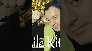 Mile Kitic  Ratnik za ljubav 🎶🎶🎶 [upl. by Ycniuqal]