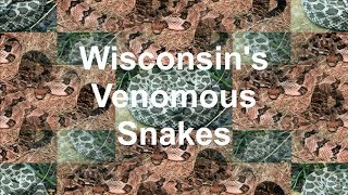 Wisconsins Venomous Snakes [upl. by Aphra]