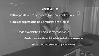 Manual Muscle Test for Rhomboids AdductionDownward Rotation of Scapula [upl. by Paynter]