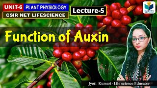 FUNCTIONS OF AUXIN  PHYTOHORMONE PART5 CSIR NET PLANT BIOLOGY [upl. by Sayers]