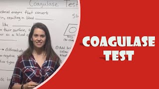 Coagulase Test [upl. by Brag423]