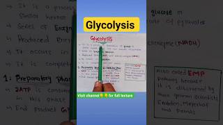 Glycolysis Glucose Pyruvate bioenergetics First phase [upl. by Retsbew370]