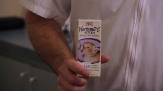 How to Feed a FourWeekOld Kitten  Pet Health [upl. by Netsud]