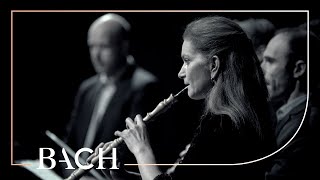 Bach  Adagio from Brandenburg Concerto no 1 in F major BWV 1046  Sato  Netherlands Bach Society [upl. by Nylannej]