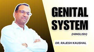 Histology of quotGenital Systemquot Explained in Hinglish by Dr Rajesh Kaushal  213 [upl. by Hau]