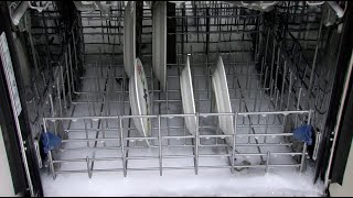 How to Remove Excess Suds From Dishwasher [upl. by Lynde44]