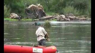 Hadeda Creek Parys Vaal River South Africa [upl. by Mahau]