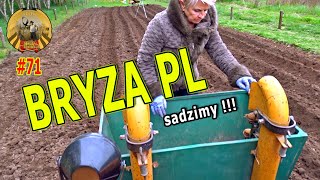 Bryza PL  sadzimy  odc 71 [upl. by Olivette]