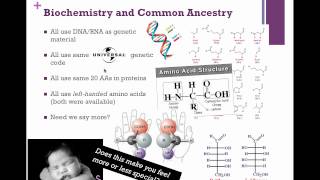 Cladistics IB Biology [upl. by Leirad]