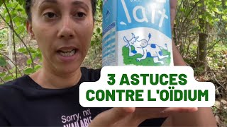 DE LOIDIUM   Voici 3 astuces à connaitre [upl. by Melloney130]