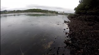 lure fishing menai straits [upl. by Sylado331]