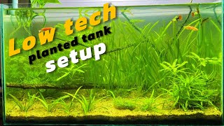 How to setup Low Tech Planted tank  For Beginners [upl. by Sone]