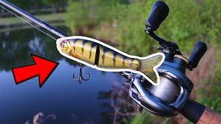 Glide Bait Bass Fishing River2Sea SWaver [upl. by Elery352]