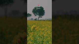 New song tersem jassar romantic song❣️viralvideo love romanticsong trending shorts [upl. by Sivartal]