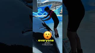 A huge dolphin caused a panic in the water park 🐬🌊 [upl. by Spevek]