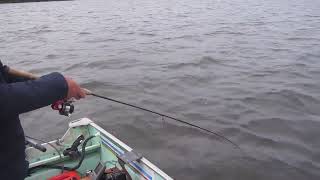 Lac Seul Walleye fishing July fishing at Williams Bay [upl. by Ennis171]