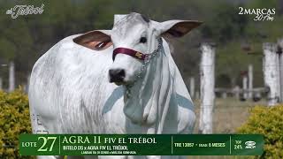 LOTE 27  AGRA II FIV EL TRÉBOL [upl. by Julis44]