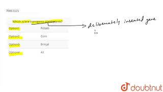 Which isare transgenic plantplants [upl. by Gainor690]