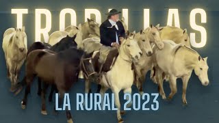 Espectáculo único  Tropillas entabladas  La Rural 2023 [upl. by Beacham]