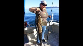 Lingcod Fishing in Puget Sound [upl. by Ylil]