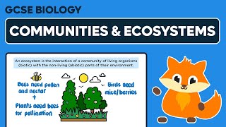 Communities amp Ecosystems  GCSE Biology [upl. by Amaerd]