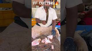 KASIMEDU 🔥 MINNAL RAJA LETHER JACKET FISH CUTTING VIDEO kasimeduraja fishcutting youtubeshorts [upl. by Conchita]