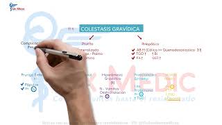 Obstetricia  04 Enfermedades intercurrentes [upl. by Nnav]