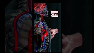 Quick Guide to CPR in 19 Seconds 💓  LifeSaving Basics CPR FirstAidSaveALife emergencyresponse [upl. by Valry225]