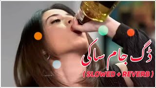 raka che nan oskam dag jaam saqi pashto slowed reverb song [upl. by Assyla]