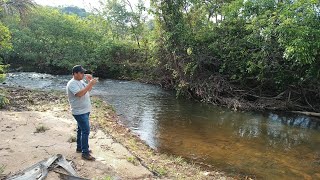 vendida Mais uma fazenda de viúva pra você comprar barato [upl. by Rocca437]