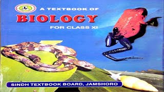 86 LIFE CYCLE OF BASIDIOMYCOTA  CHAPTER 8KINGDOM FUNGI  FIRST YEAR BIOLOGY [upl. by Durr]