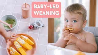 First week of BabyLed Weaning  STARTING SOLIDS [upl. by Loats]