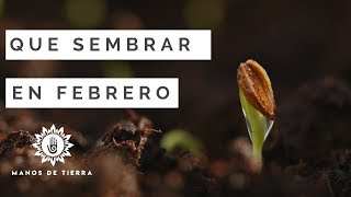 Que Sembrar En FEBRERO calendario de siembrahemisferio norte y sur [upl. by Eirelam143]