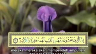 Surat Al Mulk  Muh Thaha Al Junaid [upl. by Hsemin]