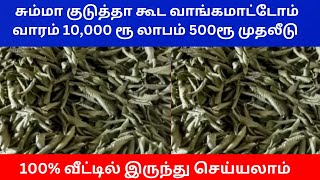 சும்மா குடுத்தா கூட வாங்கமாட்டோம் வாரம் 10000 ரூ லாபம் 500ரூ முதலீடு  Small Business Ideas  Tamil [upl. by Airotciv]