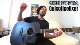 Quixoticelixer  Red Hot Chili Peppers Acoustic Cover by Joel Goguen [upl. by Reywas950]