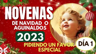 día 1 NOVENA de NAVIDAD o AGUINALDOS 🎄 16 DICIEMBRE 2023🎄COMPLETAS  pidiendo un favor muy especial [upl. by Weinshienk652]