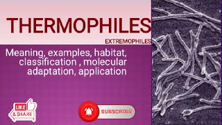 Thermophiles hyperthermophile Extremophiles classification molecular adaptation application [upl. by Alanah404]