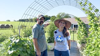 She Has Waited 8 Years for an HERB GARDEN Happy Wife Happy Homestead [upl. by Ahsitil]