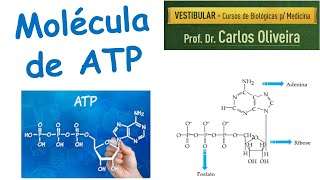 Molécula de ATP [upl. by Thinia]